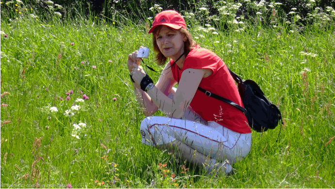 (c) 2012 www.3d-bild-in-glinde.de